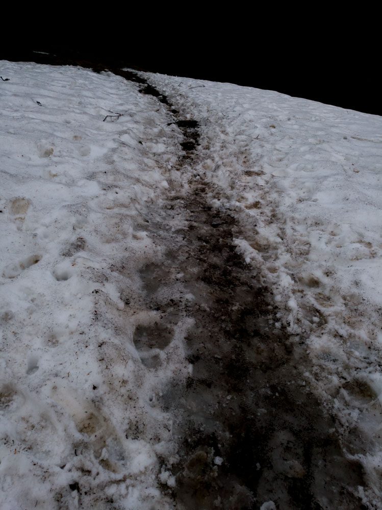 IMG_20170414_141151_998